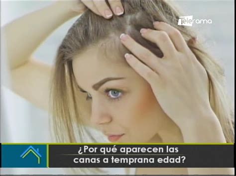 canas en la vagina|A qué edad aparecen las canas en el pubis: todo lo que debes .